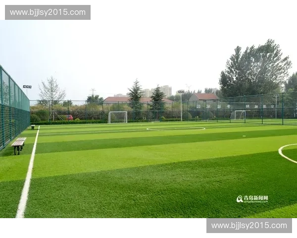 以体育渠道为核心打造全民运动内容新生态平台传播升级与价值增长路径